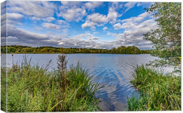 A peaceful day on at Whitlingham Broad, Norwich Canvas Print by Chris Yaxley