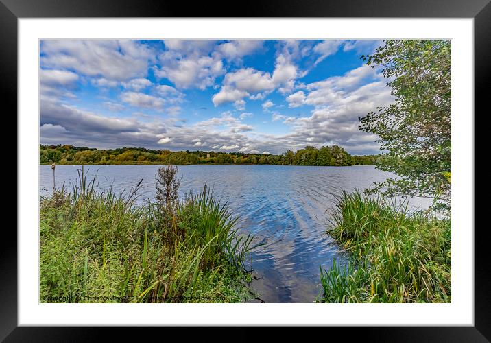 A peaceful day on at Whitlingham Broad, Norwich Framed Mounted Print by Chris Yaxley