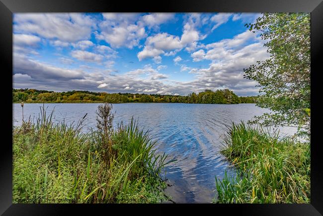 A peaceful day on at Whitlingham Broad, Norwich Framed Print by Chris Yaxley