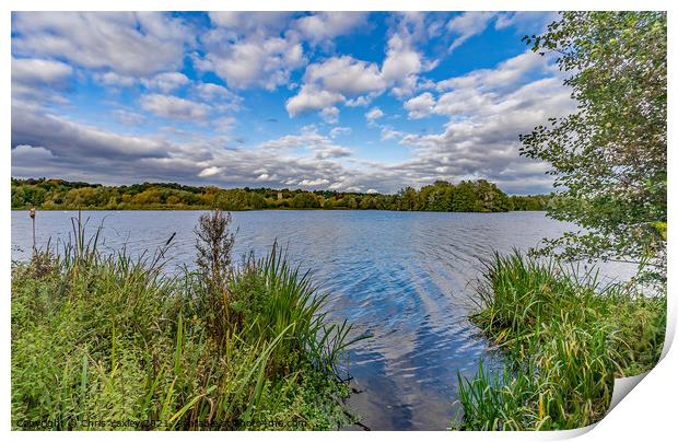 A peaceful day on at Whitlingham Broad, Norwich Print by Chris Yaxley