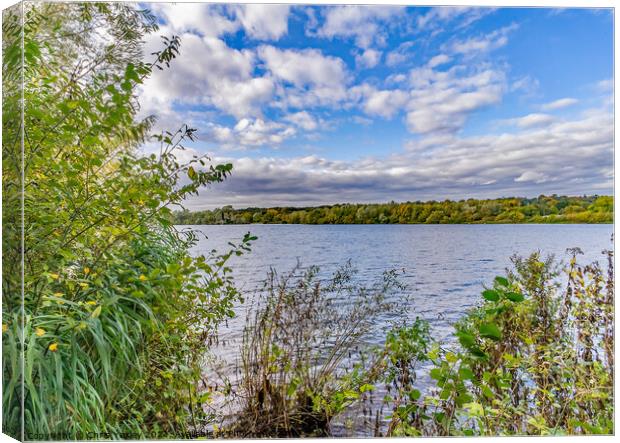 Whitlingham Broad in the heart of the Norfolk Broads Canvas Print by Chris Yaxley