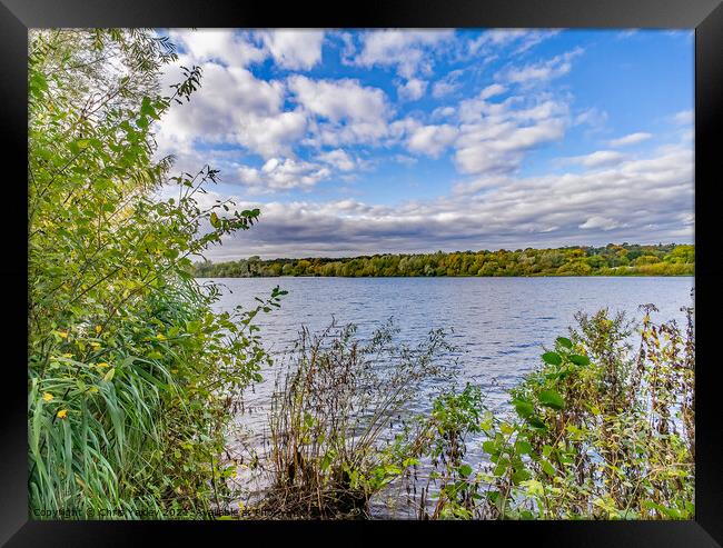 Whitlingham Broad in the heart of the Norfolk Broads Framed Print by Chris Yaxley