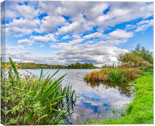 A view over Whitlingham Broad Canvas Print by Chris Yaxley