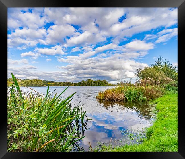 A view over Whitlingham Broad Framed Print by Chris Yaxley
