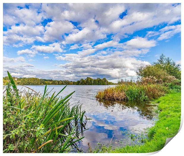 A view over Whitlingham Broad Print by Chris Yaxley
