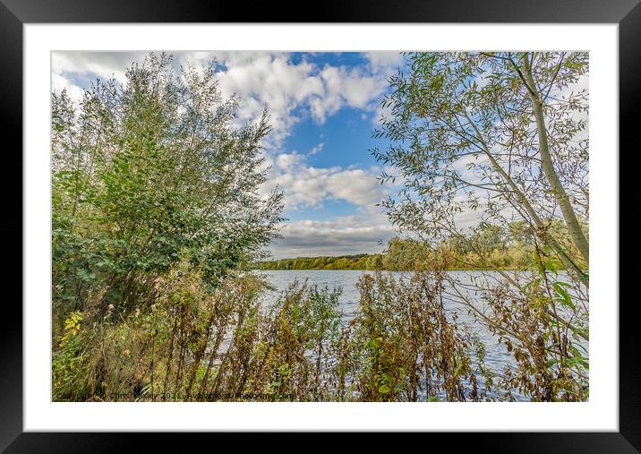 Trees beside Whitlingham Broad, Norfolk  Framed Mounted Print by Chris Yaxley