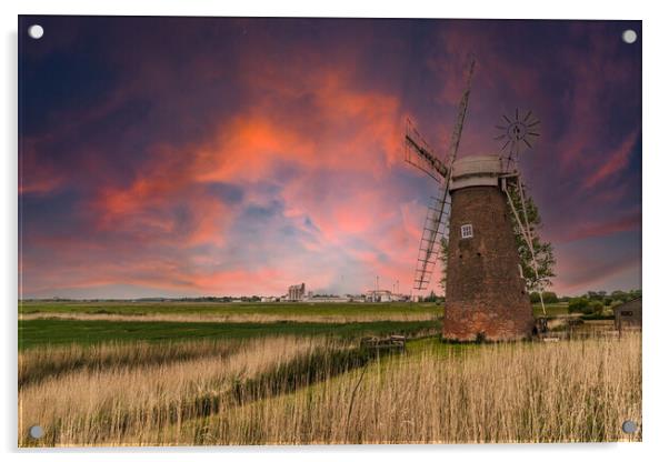 Hardley Windmill norfolk broads Acrylic by Kevin Snelling