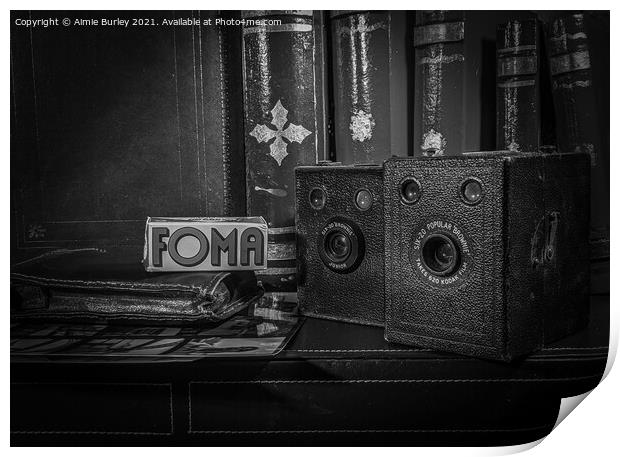 Vintage brownie camera  Print by Aimie Burley