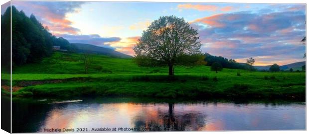 River at Whitewell Canvas Print by Michele Davis