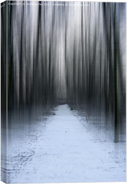 Trees in the snow  Canvas Print by Aimie Burley