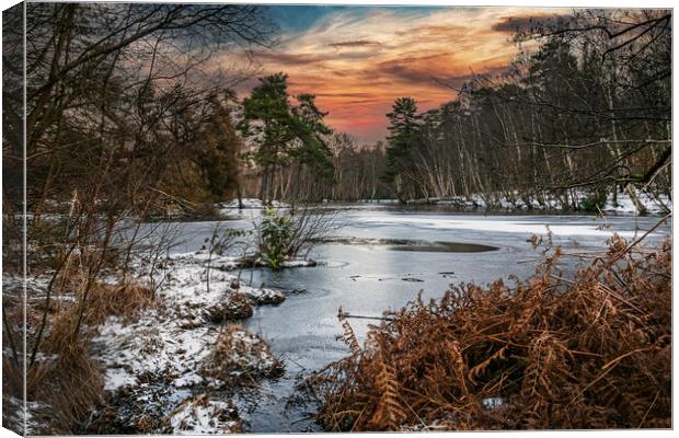 Winters Morning at Heath Pond, Simons Wood in Berk Canvas Print by Dave Williams