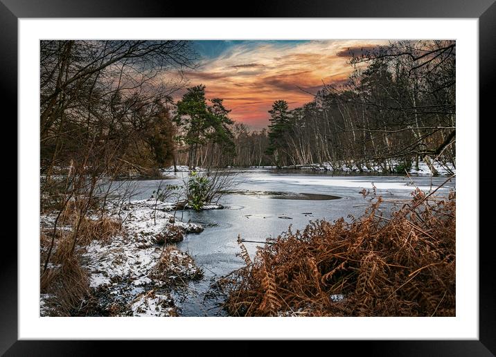 Winters Morning at Heath Pond, Simons Wood in Berk Framed Mounted Print by Dave Williams