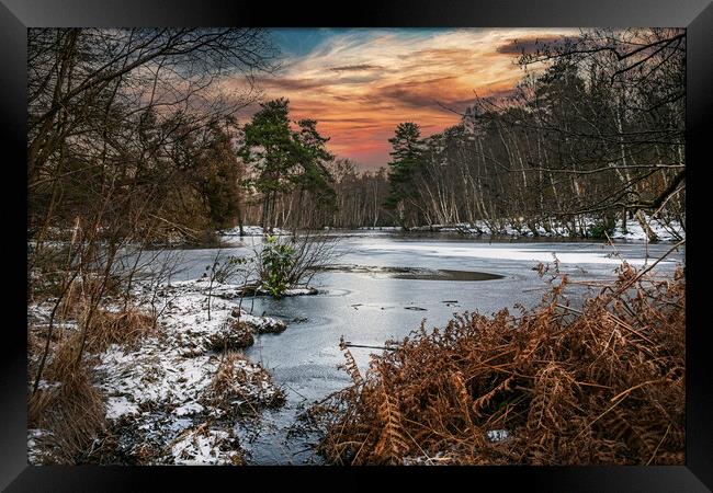 Winters Morning at Heath Pond, Simons Wood in Berk Framed Print by Dave Williams