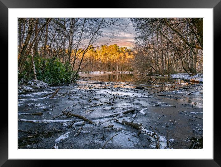 Wood Frozen in the Lake at sunrise Framed Mounted Print by Dave Williams