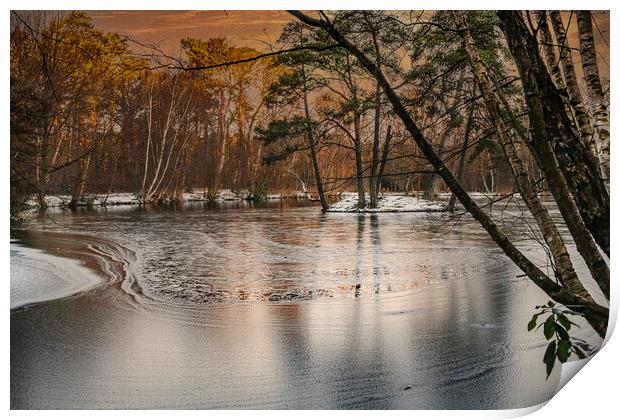 Ice Patterns and Snow on Heath Pond, Finchampstead Print by Dave Williams