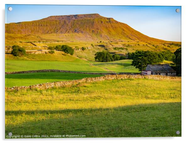 Ingleborough, Yorkshire Dales, England Acrylic by Dave Collins