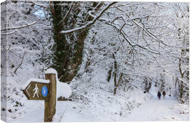 A Walk in Winter Woodland Snow Canvas Print by Pearl Bucknall