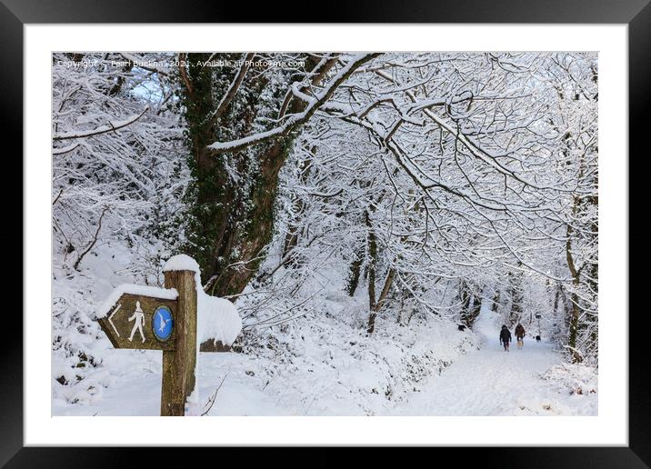 A Walk in Winter Woodland Snow Framed Mounted Print by Pearl Bucknall