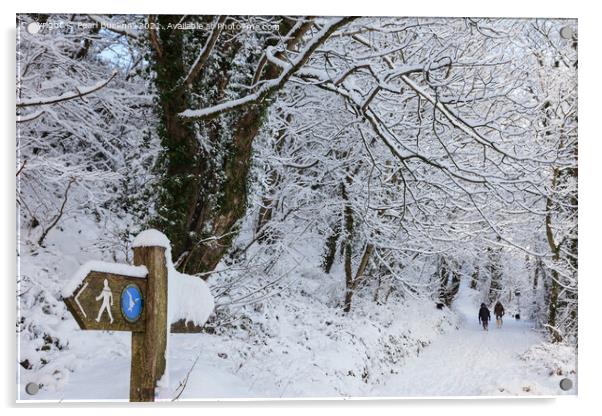 A Walk in Winter Woodland Snow Acrylic by Pearl Bucknall
