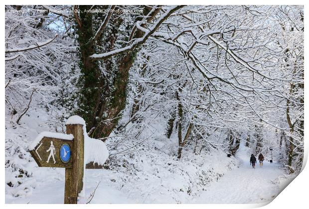 A Walk in Winter Woodland Snow Print by Pearl Bucknall