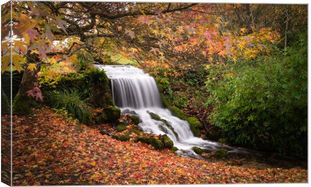Autumn Waterfall Canvas Print by David Semmens