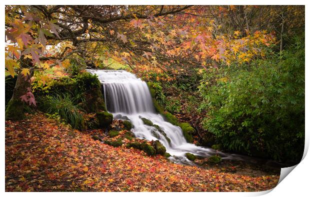 Autumn Waterfall Print by David Semmens