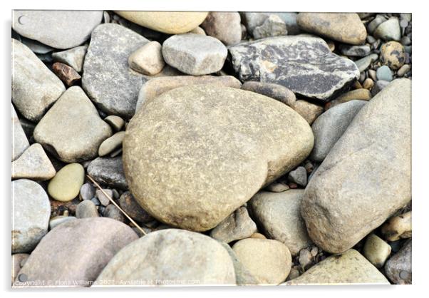 Heart Shaped Rock on a pebble beach Acrylic by Fiona Williams