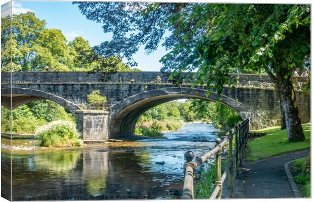 Bridge over the River Severn, Llanidloes Canvas Print by Chris Yaxley