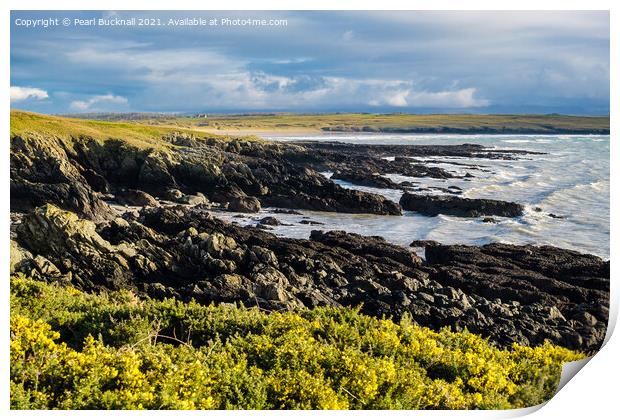 Rocky Coast near Aberffraw Anglesey Print by Pearl Bucknall