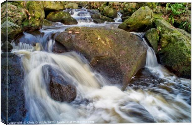Burbage Brook in Padley Gorge Canvas Print by Chris Drabble