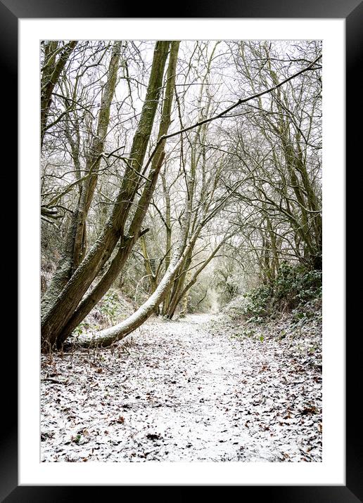 Snow Covered Footpath, Scottish Borders, United Kingdom Framed Mounted Print by Dave Collins