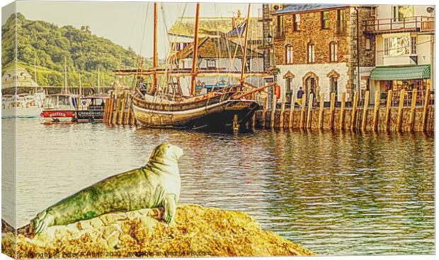 Nelson The Seal At Looe Canvas Print by Peter F Hunt