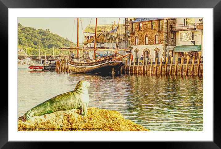 Nelson The Seal At Looe Framed Mounted Print by Peter F Hunt