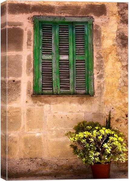Sunbaked Shutters Canvas Print by Simon Litchfield