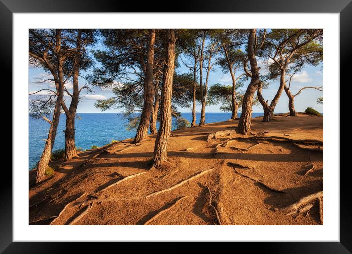 Hill Top Sunset by the Sea Framed Mounted Print by Artur Bogacki