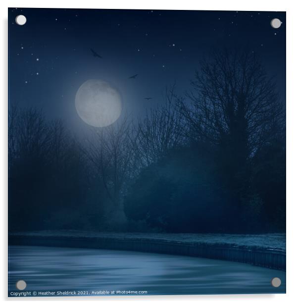 Canal Under Starry Moonlit Sky Acrylic by Heather Sheldrick
