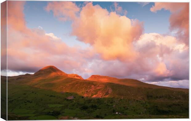 Moelwyn mawr from the Cnicht path  Canvas Print by Rory Trappe