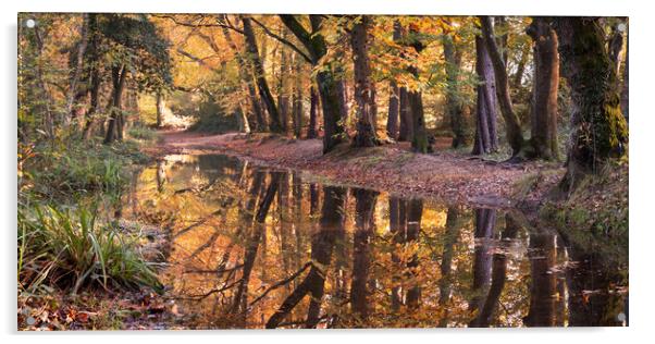 Autumnal Woodland Acrylic by David Semmens