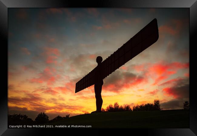 Angel of the North at Sunset  Framed Print by Ray Pritchard