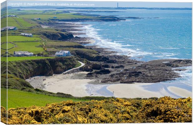 Overlooking Church Bay Anglesey Canvas Print by Pearl Bucknall
