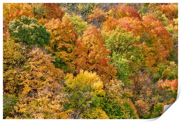 Hillside in fall Print by Jim Hughes