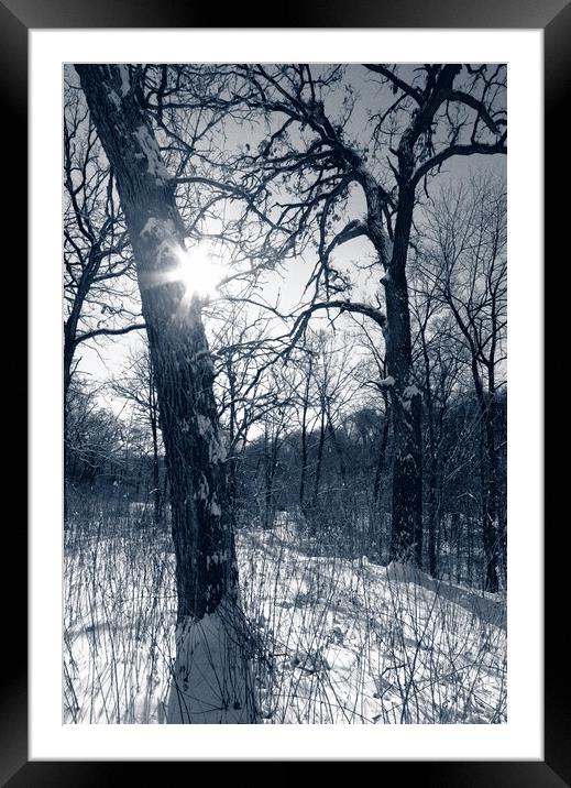 January Sun Framed Mounted Print by Jim Hughes