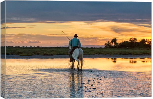 Camargue Gardian out in the Marshes Canvas Print by Helkoryo Photography