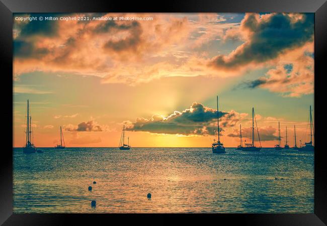 Sunset at Rodney Bay, St Lucia Framed Print by Milton Cogheil