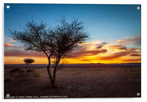 Desert Sunset #1 Acrylic by Peter O'Reilly