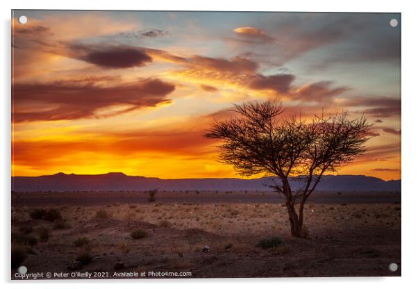 Desert Sunset #2 Acrylic by Peter O'Reilly