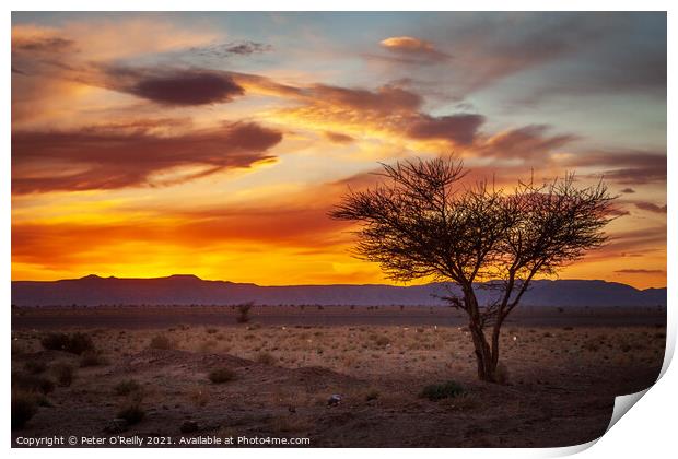 Desert Sunset #2 Print by Peter O'Reilly