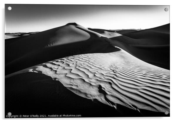 Desert Light #2 Acrylic by Peter O'Reilly