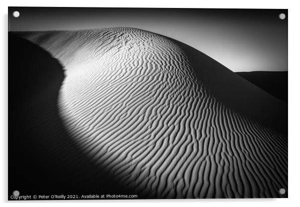 Desert Light #3 Acrylic by Peter O'Reilly