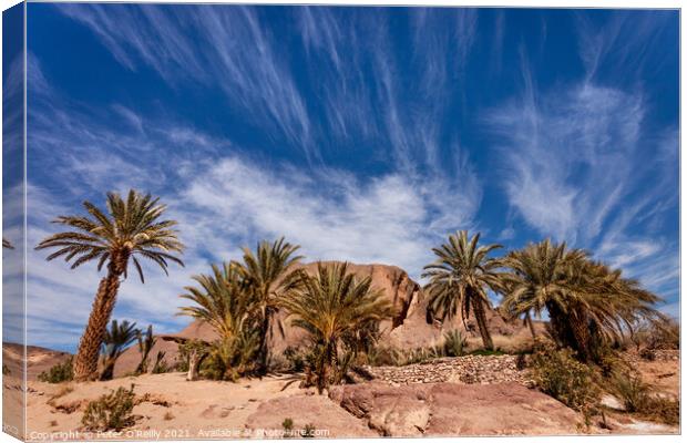 Finnt Oasis, Morocco Canvas Print by Peter O'Reilly